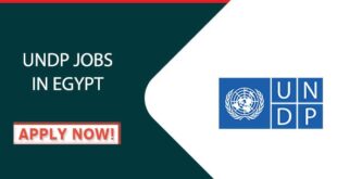 UNDP Jobs in Egypt