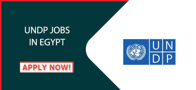 UNDP Jobs in Egypt
