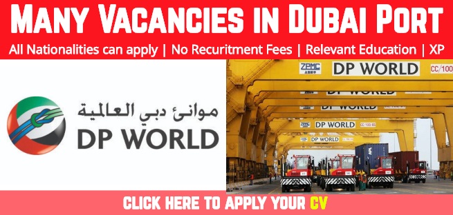 DP World Careers