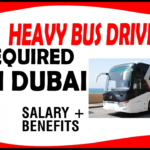Heavy Bus Drivers Jobs in Dubai 1 World Star Holding